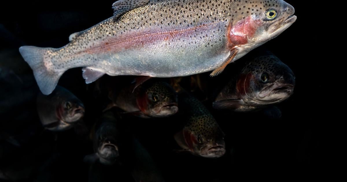Potentially record-breaking El Niño on the horizon | Central Coast ...