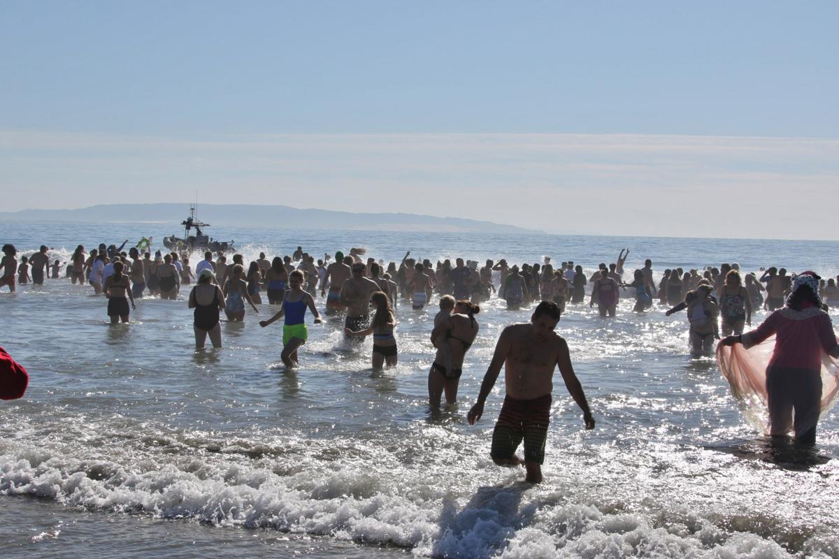 GALLERY Avila Polar Plunge Local News
