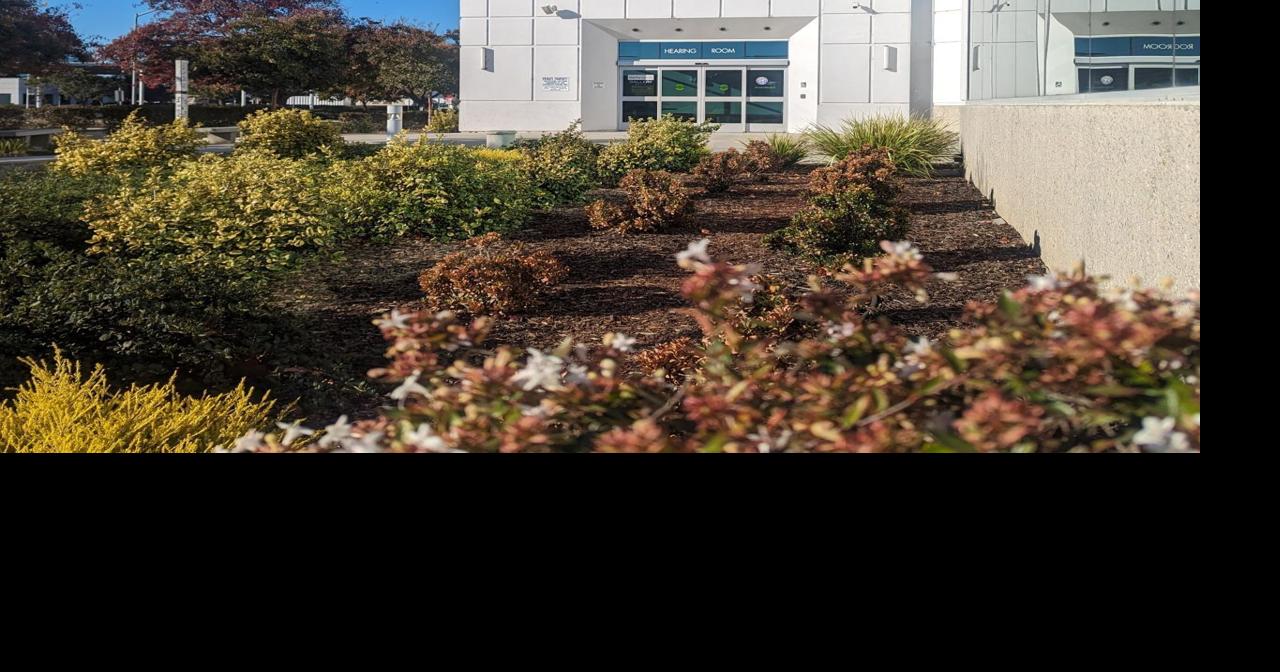 Supervisors to address zoning changes, hear cannabis revenue update Tuesday