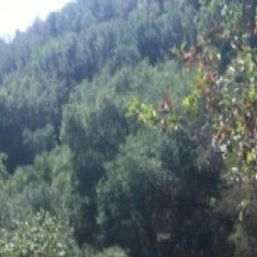 Update Hiker Killed In Fall Survivor Identified Local News Santamariatimes Com