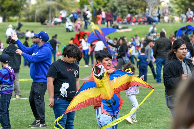 What's Up: Museum to host 'Flying Kites with Delta