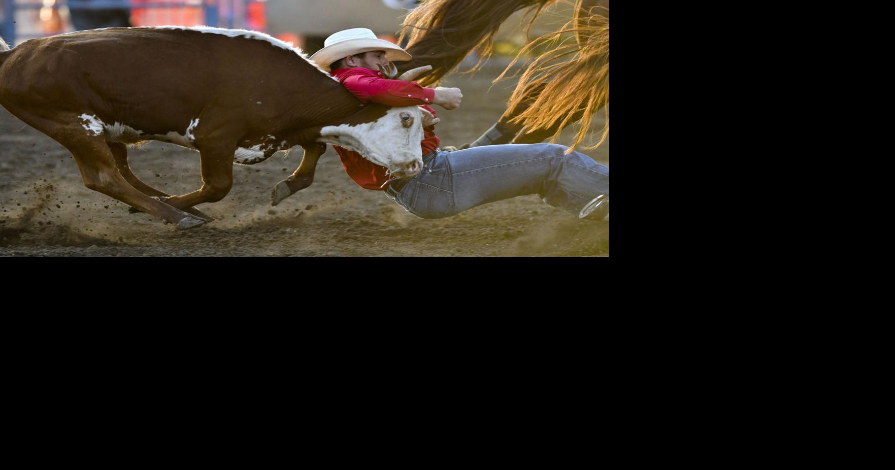 Series: 75th Santa Maria Elks Rodeo - Stories, photos, galleries and ...