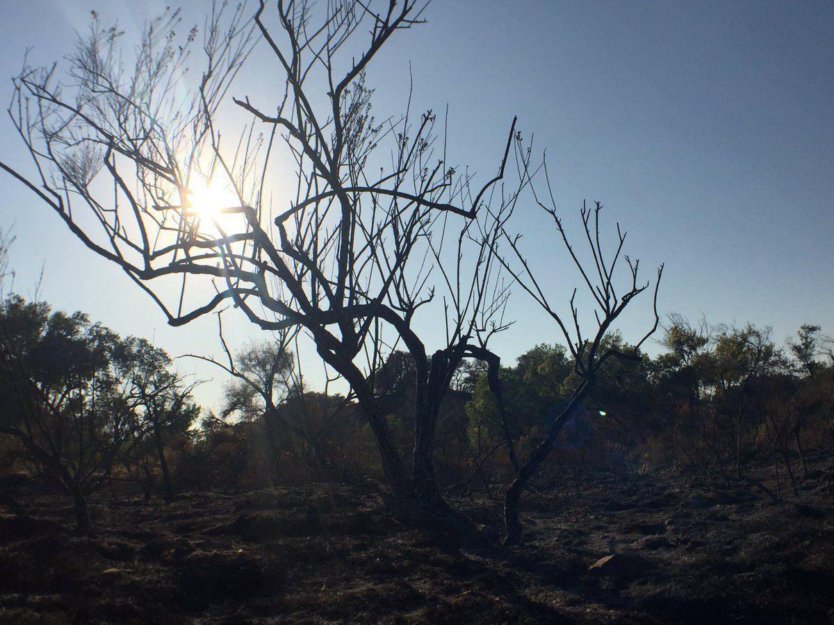 Rey fire update