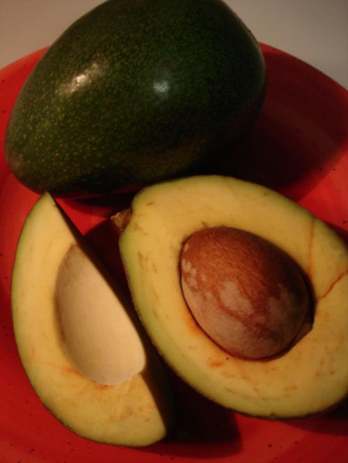 Highlight: Avocado
