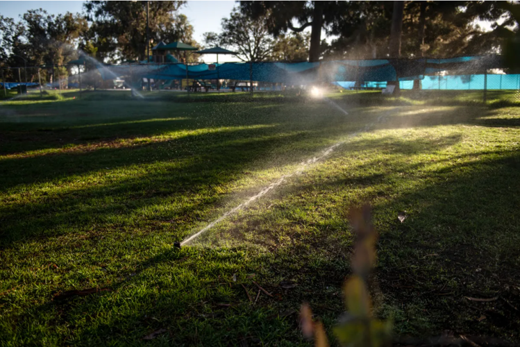 Sprinklers water a lawn in Los Angeles