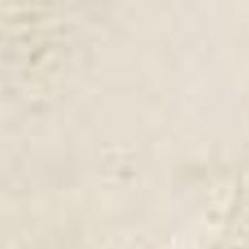 Elephant Seal Pup Rescued At Surf Beach Local News