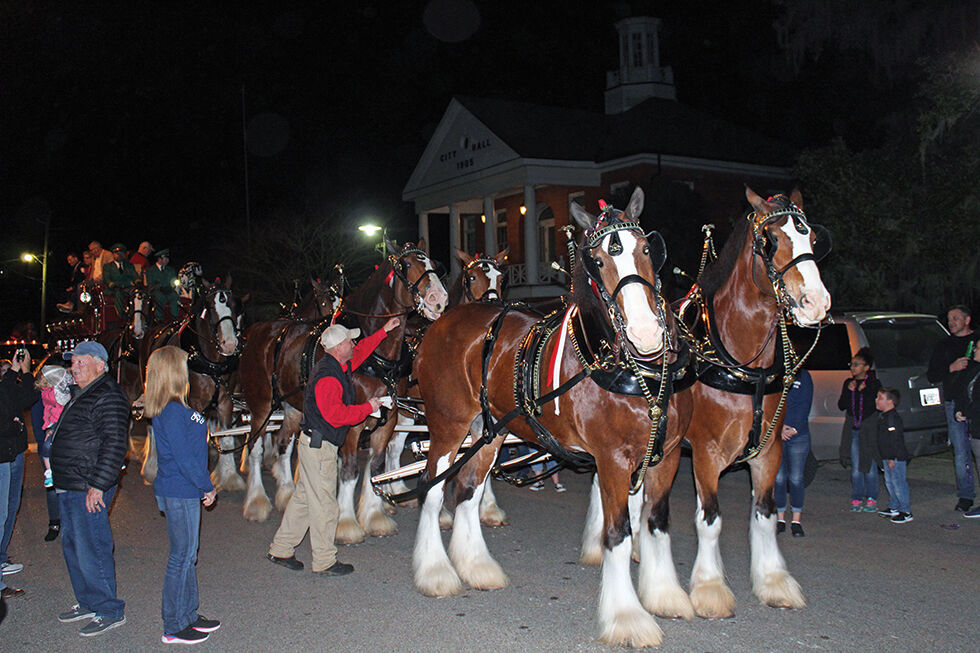 Budweiser Clydesdales returning to Bay St. Louis News