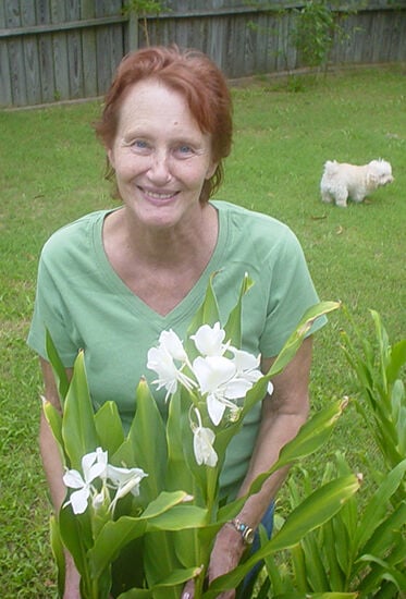 Fran Willumitis
