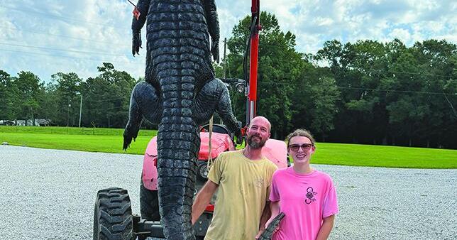 Father & daughter catch 12-foot, nine-inch gator in Hancock County By Geoff Belcher, Publisher Sep 10, 2026 Sep 10, 2026 Updated 1 hr ago