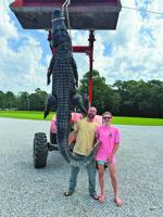 Father & daughter catch 12-foot, nine-inch gator in Hancock County
