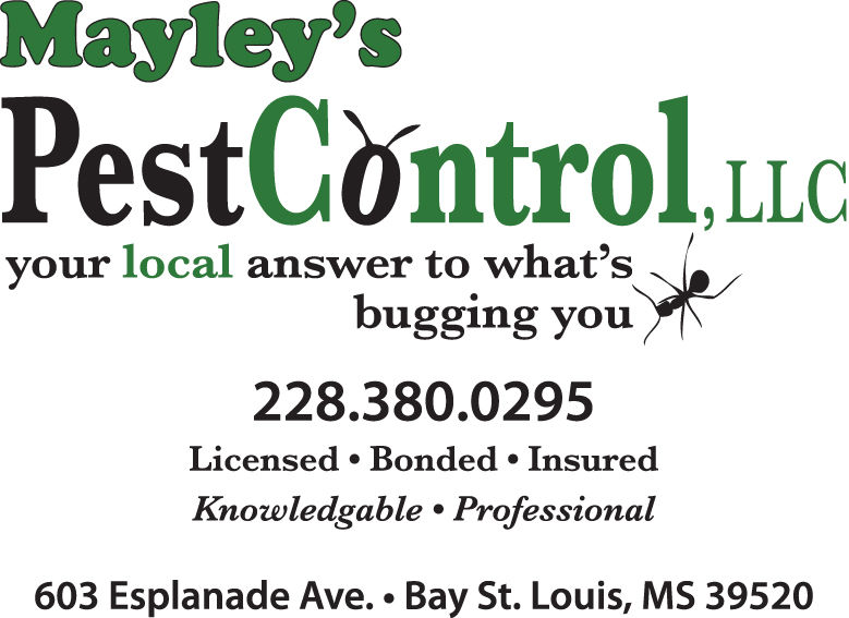 What is Pest Control Bay St Louis? Your Guide to Home Protection!