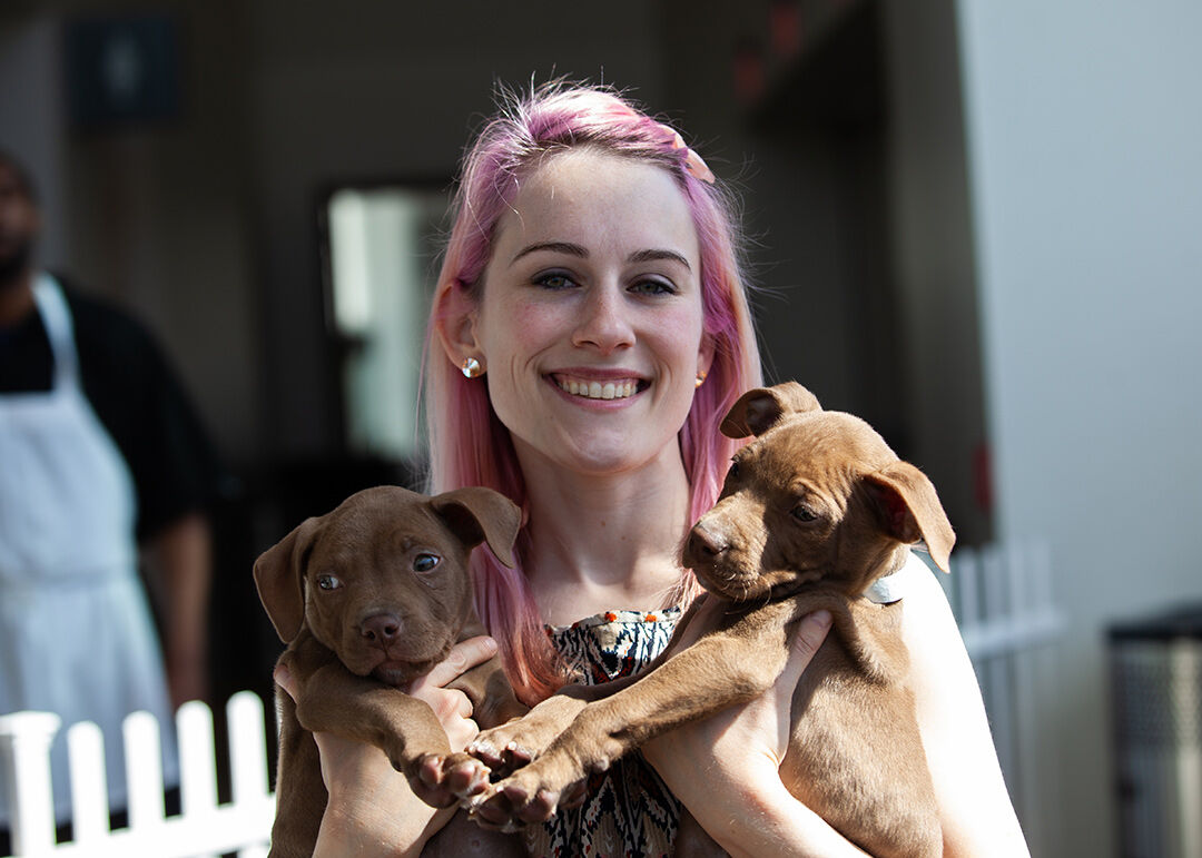 Michigan Humane Society s 30th Annual Bow Wow Brunch Parties