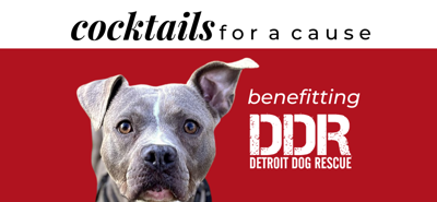 SEEN Happy Hour Fundraiser Benefitting Detroit Dog Rescue | Culture | SEEN Happy Hour Fundraiser Benefitting Detroit Dog Rescue | Culture |