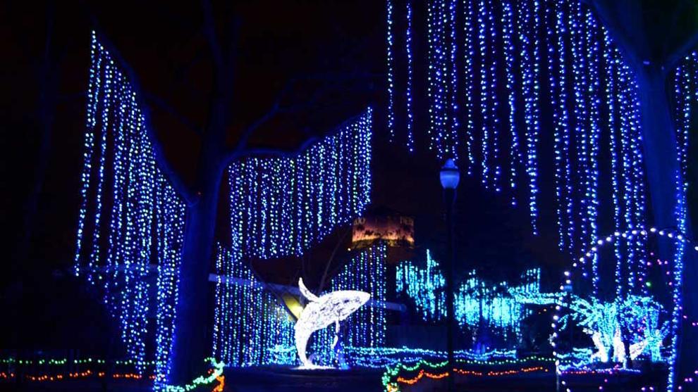 Things To Do In Metro Detroit Seenthemagazine things-to-do-in-metro-detroit-seenthemagazine