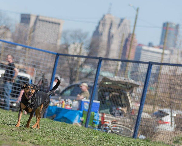 15 Metro Detroit Dog Parks Where Your Pooch Can Play | Culture ...