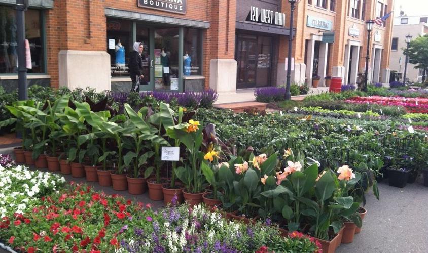 5 Things to Do Memorial Day Weekend 2019 in Metro Detroit Holidays