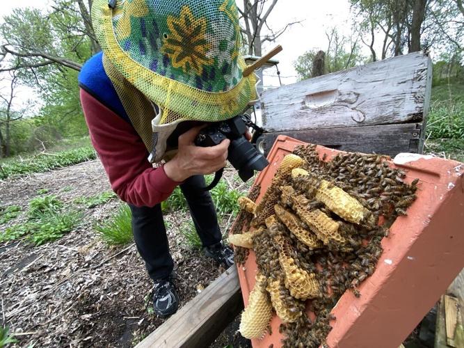 Veterans protect national food security by becoming beekeepers