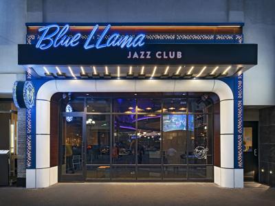 Blue-LLama_19-1