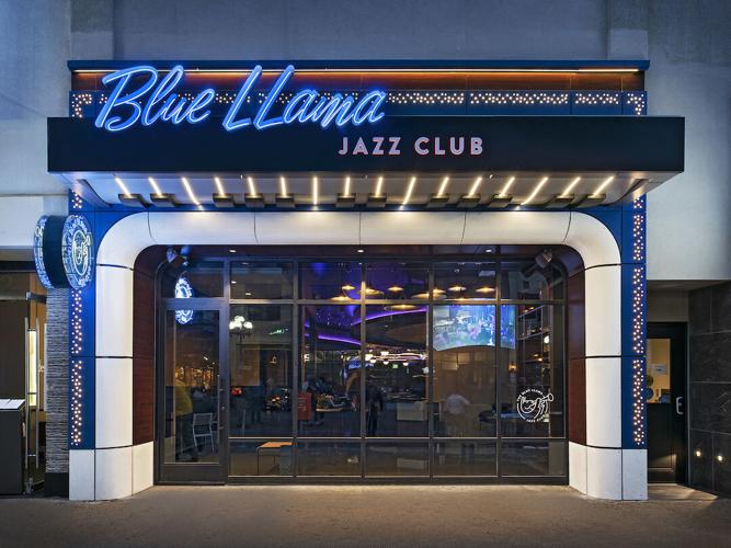 Blue-LLama_19-1
