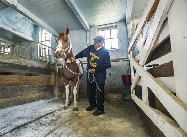 detroit horse stables