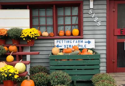 SEEN's Metro Detroit Cider Mill Guide.jpg