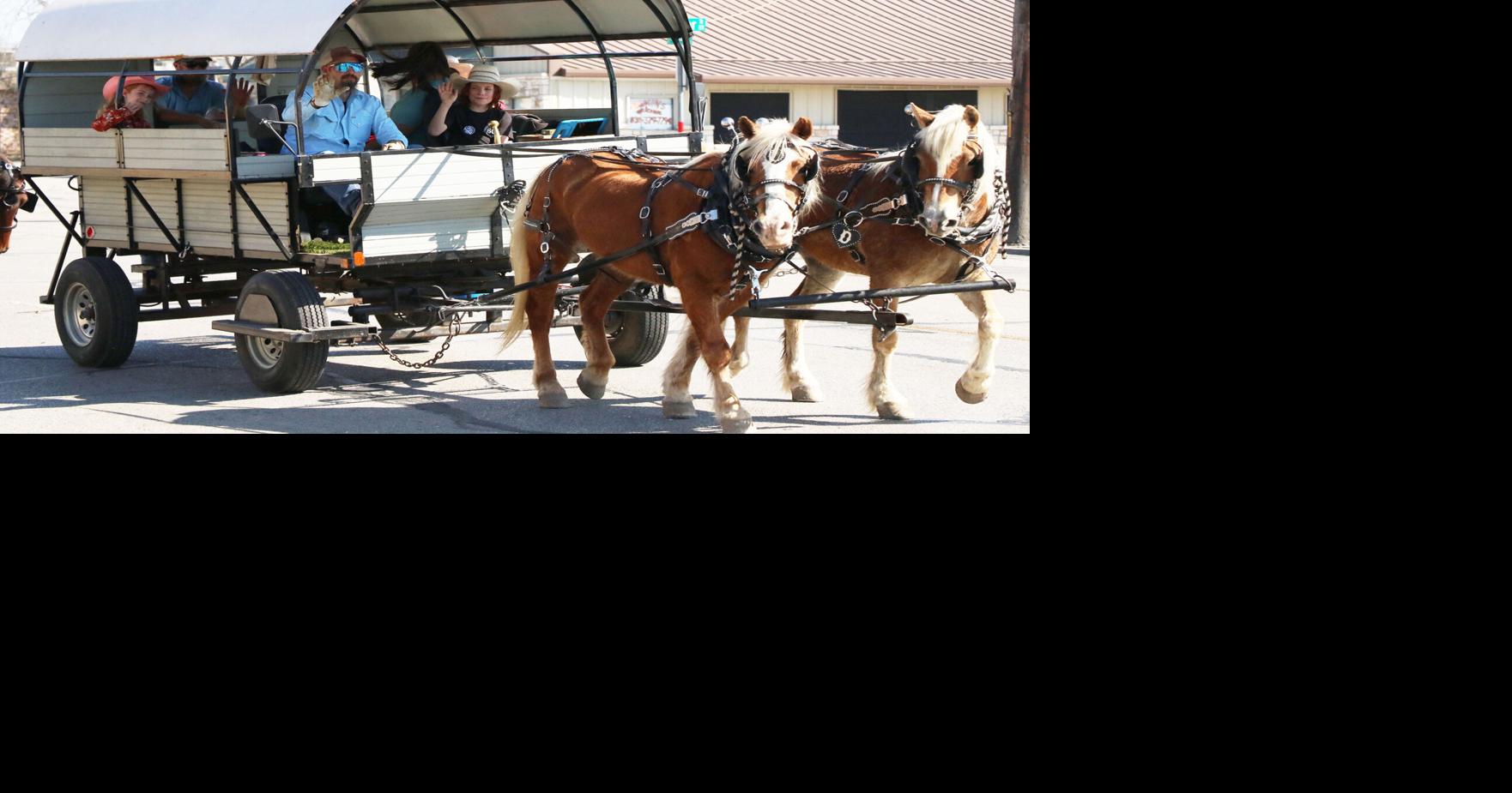 RIDIN' TO THE RODEO: Mesquite Trail Drivers hit rodeo to San Antonio ...