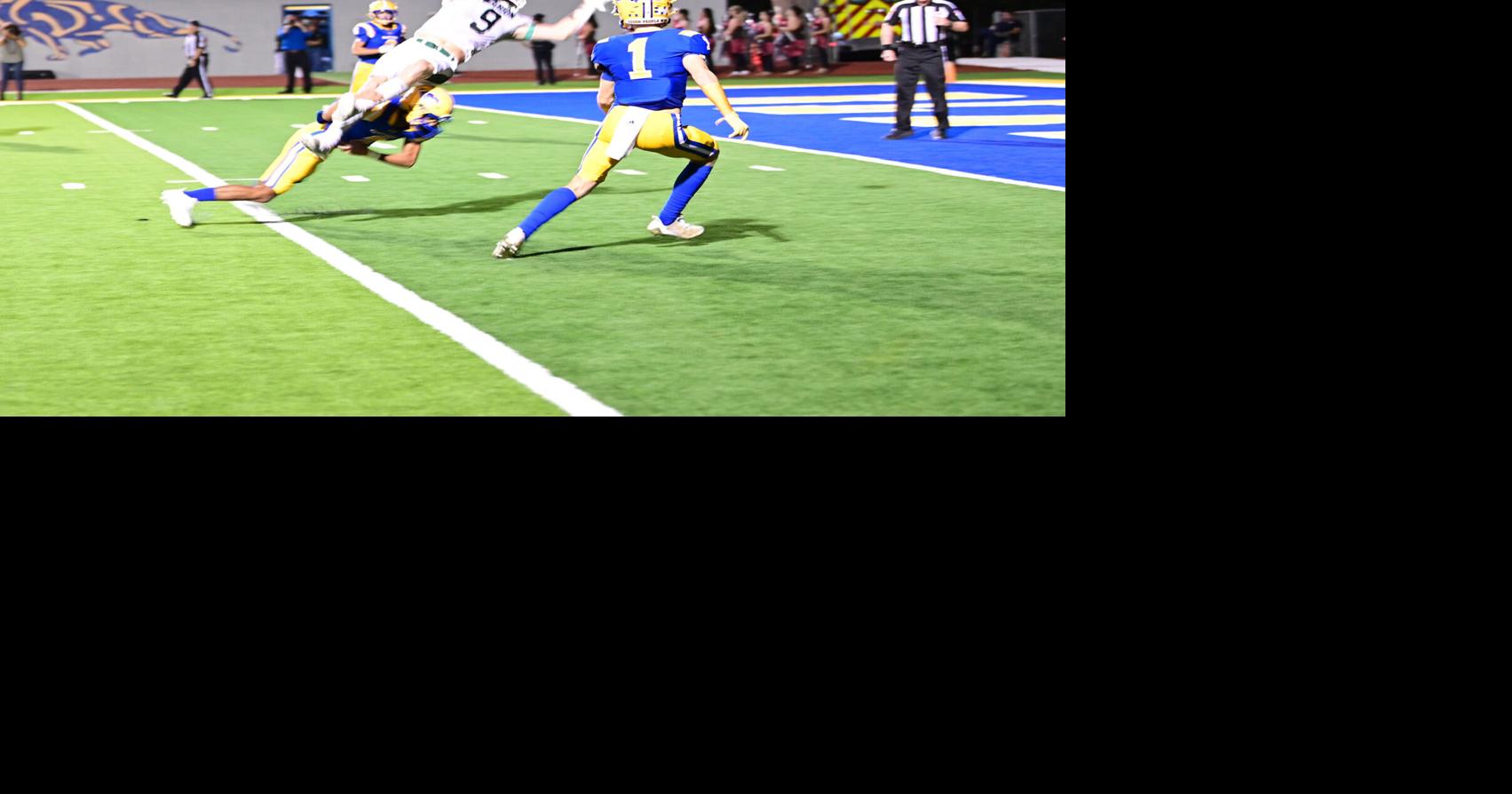 Marion Bulldogs fall to Blanco Panthers 48-7 | Sports | seguingazette.com