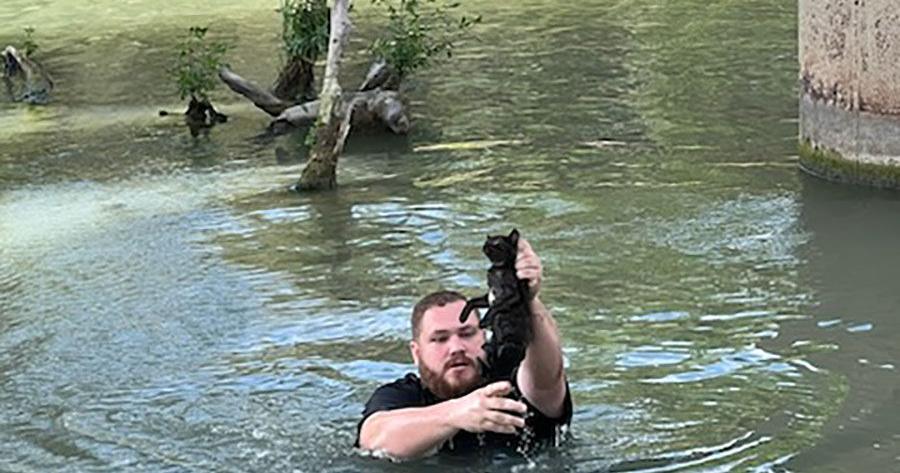 Seguin Animal Services officer rescues kitten from Guadalupe River - Vimarsana News