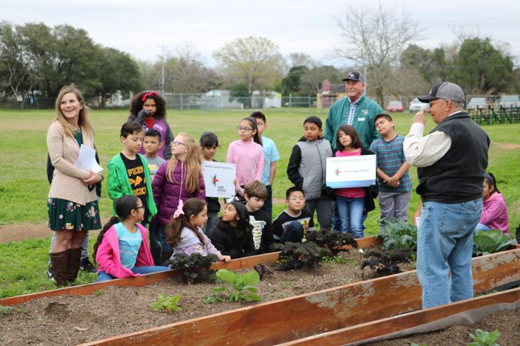 Farm Bureau grants help to grow, cultivate garden programs News