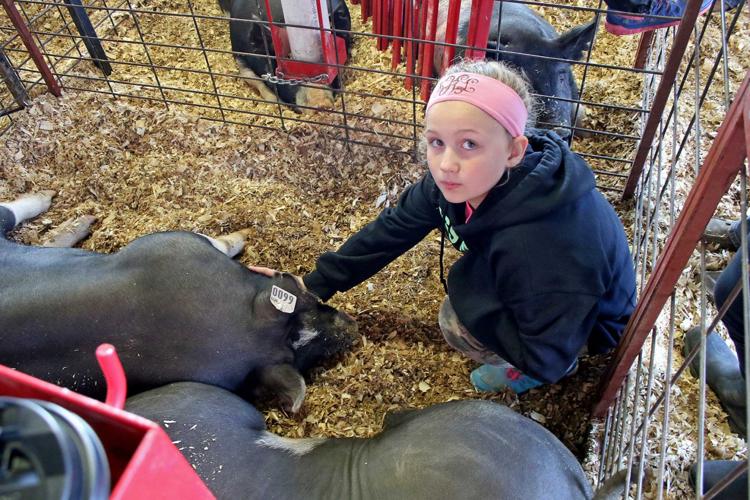 Area students hone skills at Guadalupe County youth show News