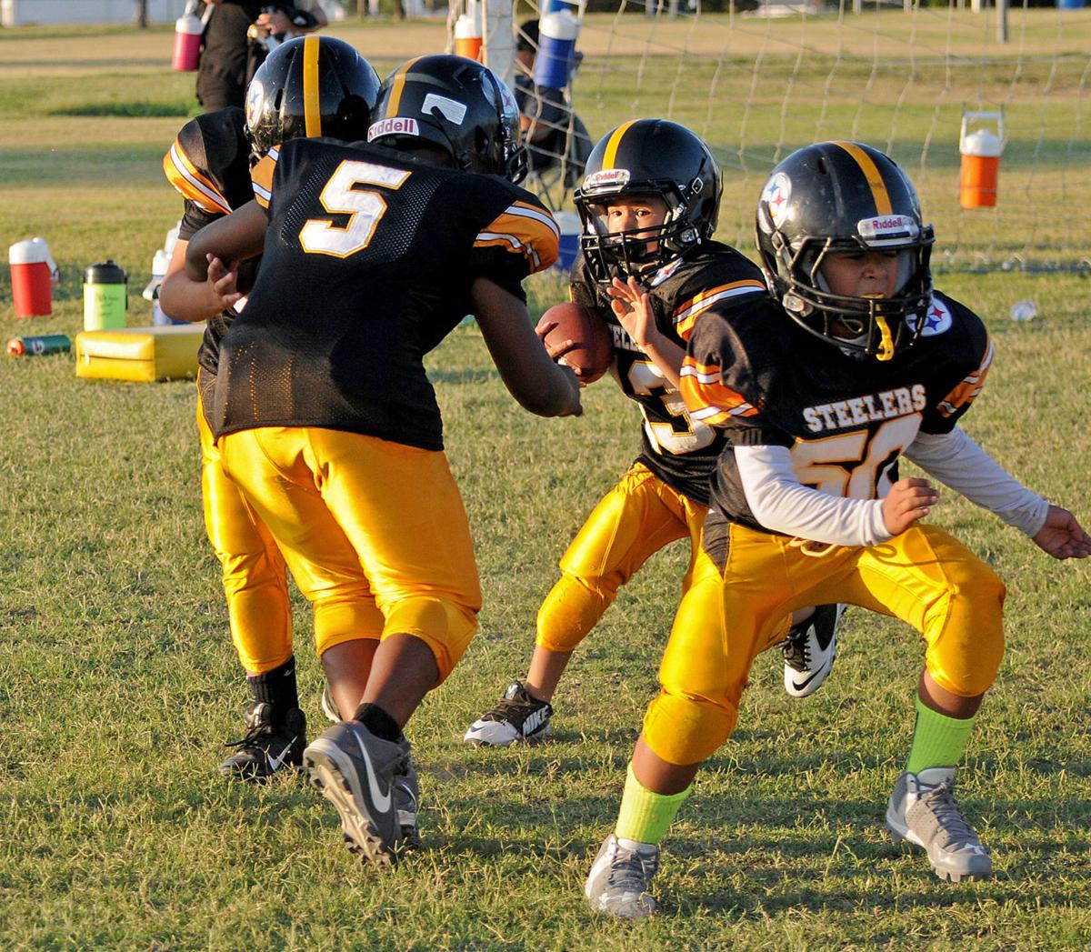 Seguin Steelers Youth Football Multimedia Seguingazette Com