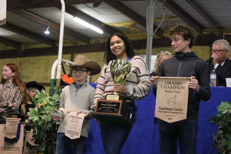 Guadalupe County Youth Livestock and Homemakers Show Auction