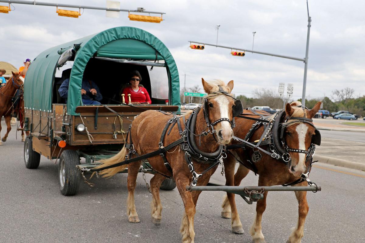 Trail drivers pass through Seguin en route to rodeo News