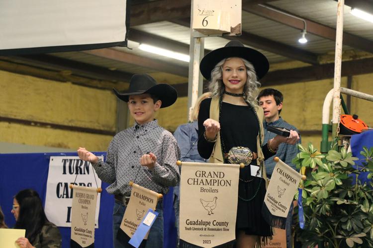 Guadalupe County Youth Livestock and Homemakers Show Auction