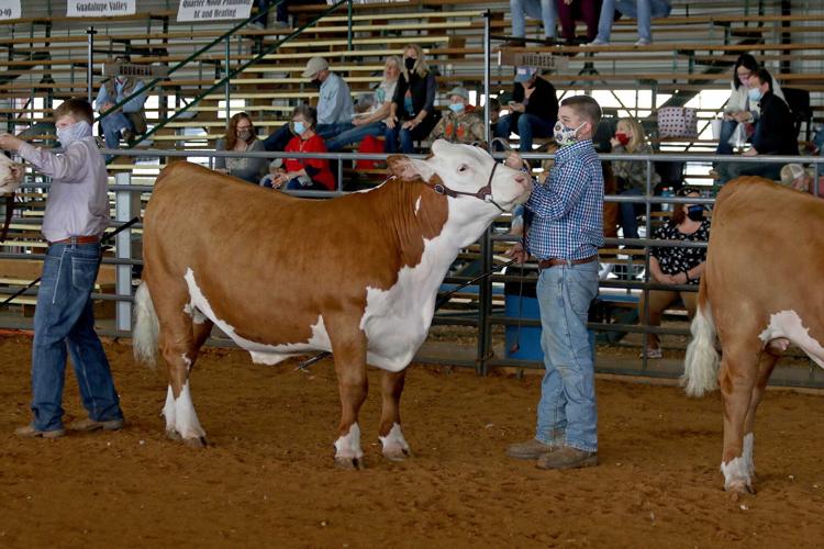 Students display months of work in Guadalupe County Youth Show ring