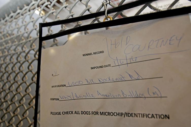 Volunteers seek notification before dogs euthanized at Guadalupe County Volunteers seek notification before dogs euthanized at Guadalupe County