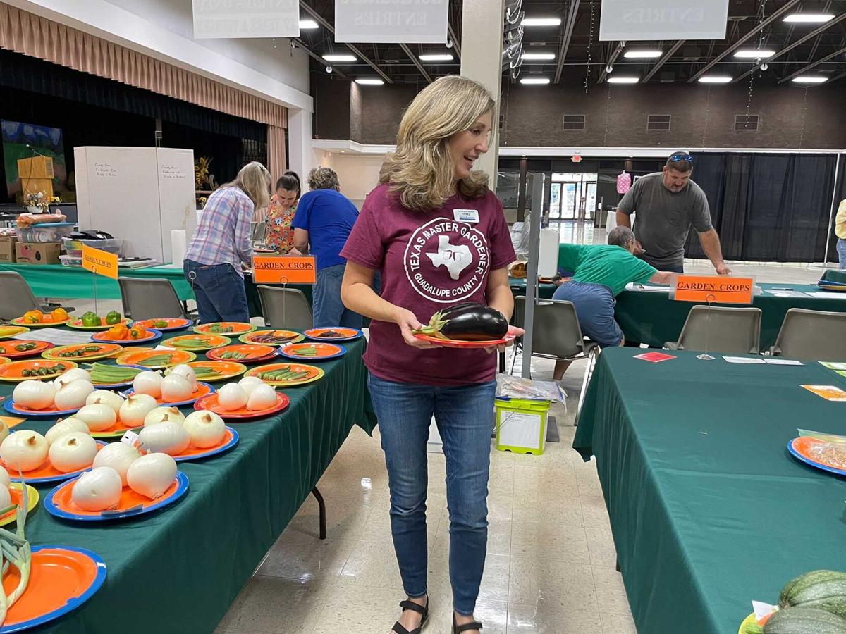 2021 Guadalupe County Fair