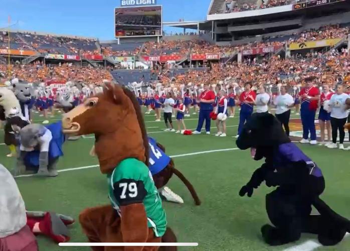 Navarro mascot performs at CheezIt Citrus Bowl halftime News