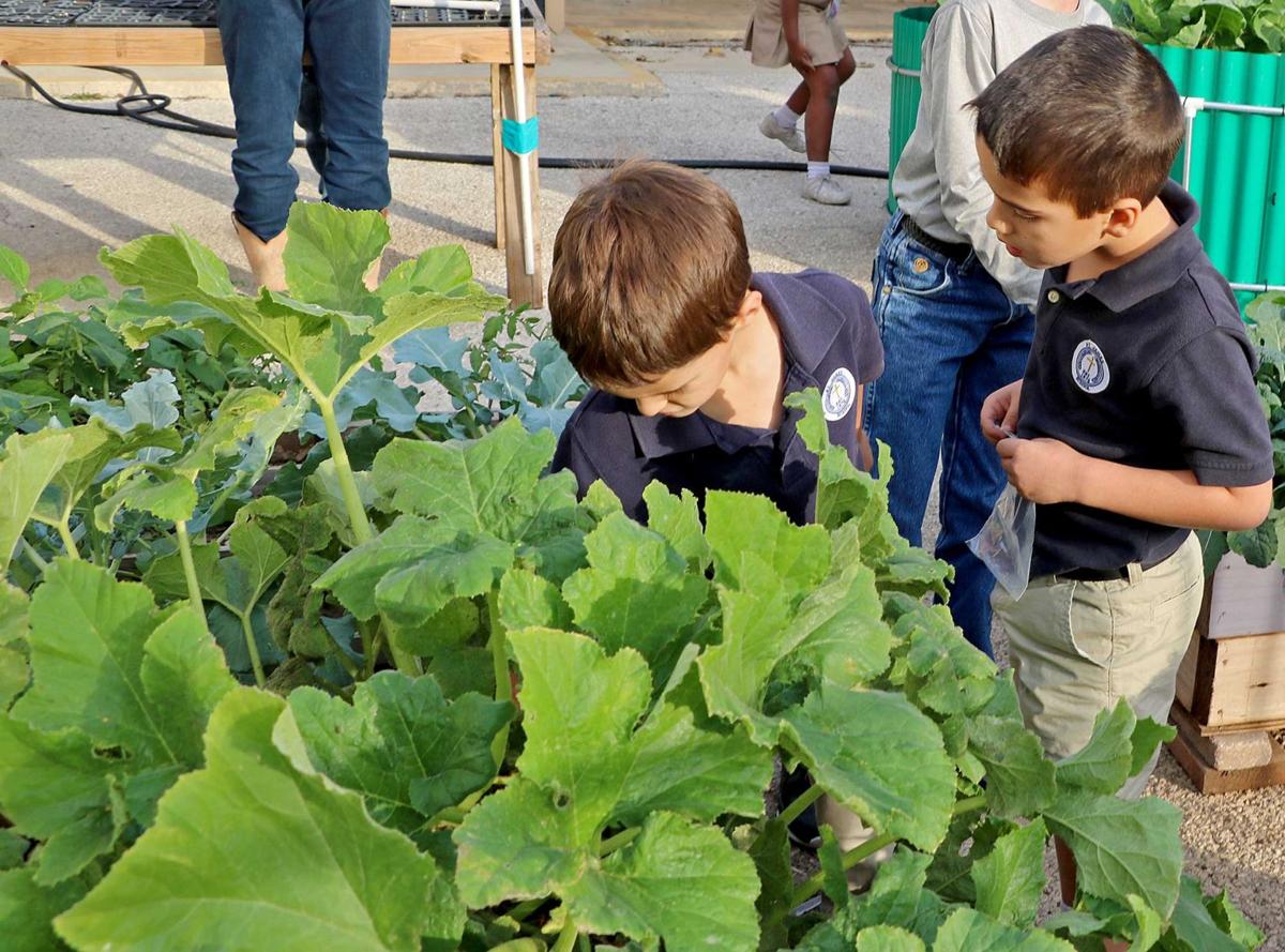 St. James students learn about gardening, native plants