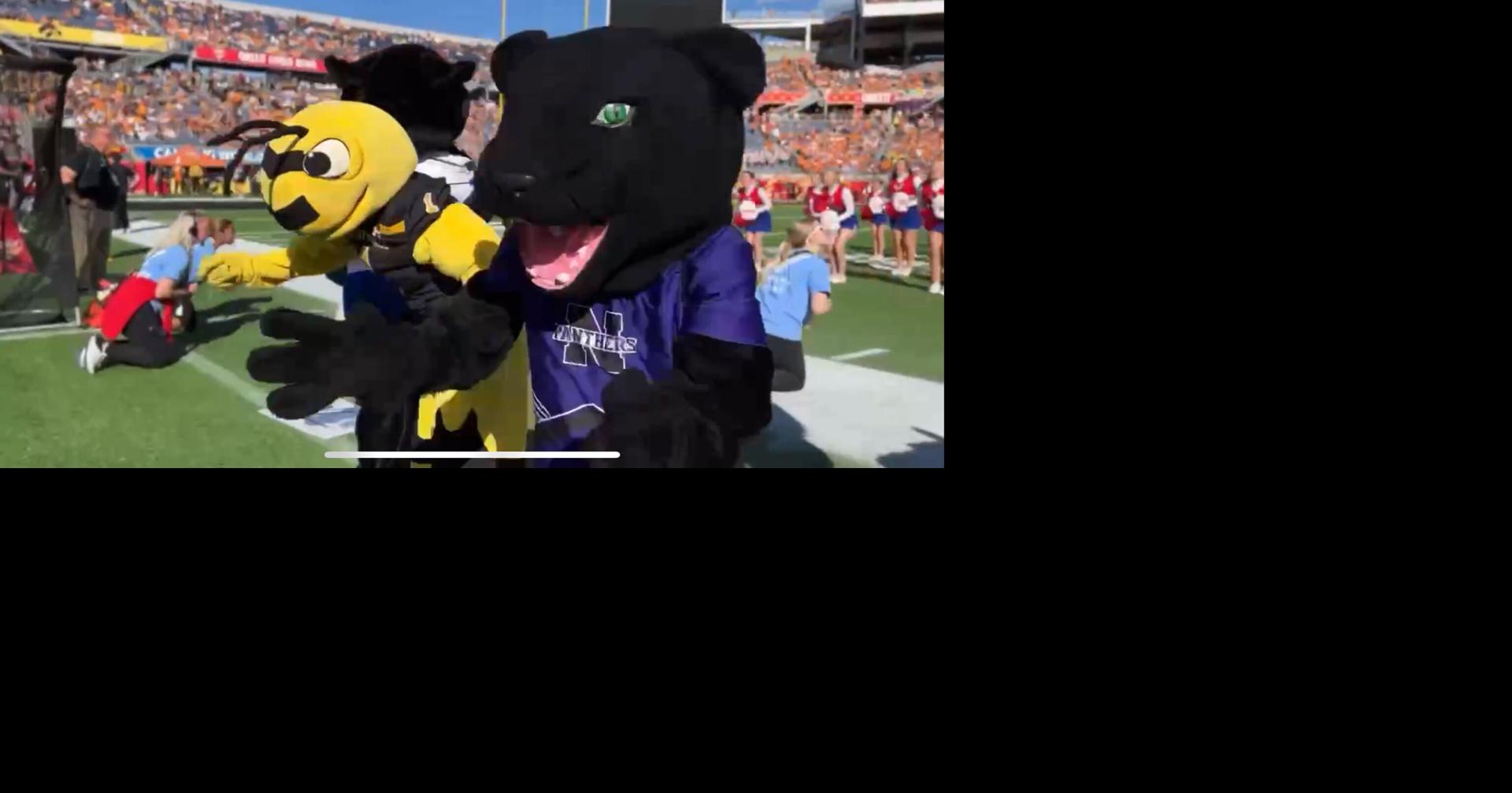 Navarro mascot performs at CheezIt Citrus Bowl halftime News