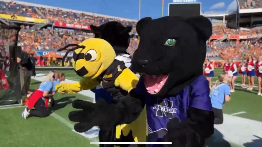 Panther’s mascot performs at Cheezit Citrus Bowl News