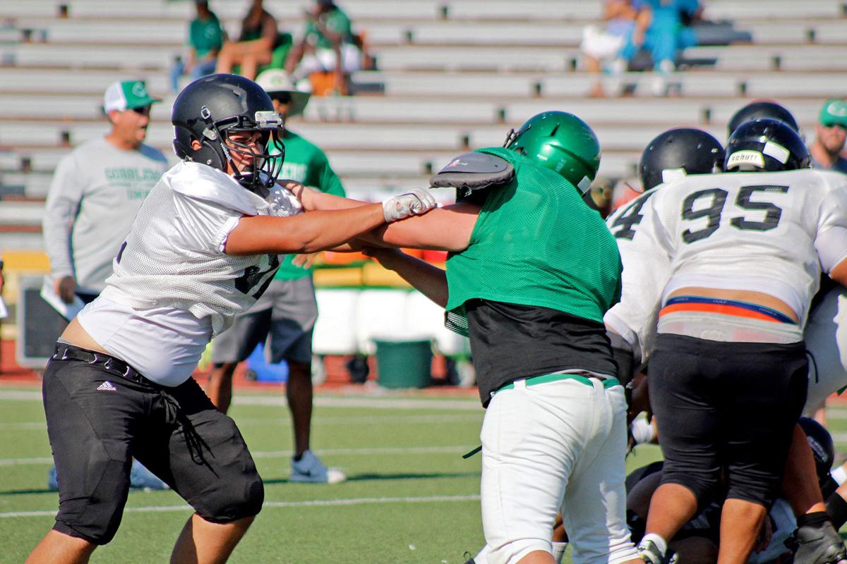 Strong Showing Matadors Go Toe To Toe With The Gobblers Sports