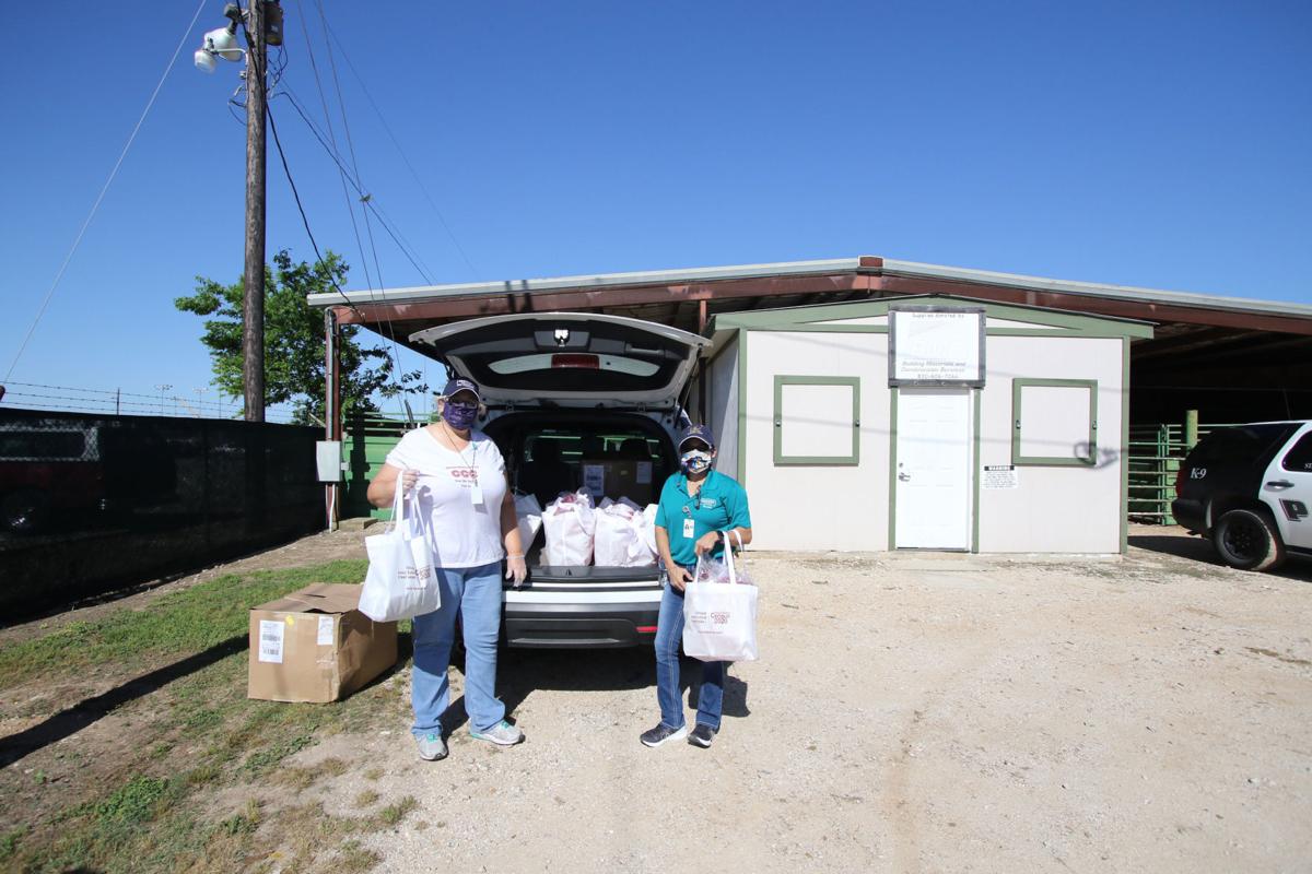 Mega Food Distribution