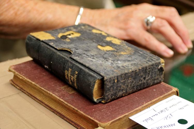 Judges see an uptick in youth entries at the Guadalupe County Fair