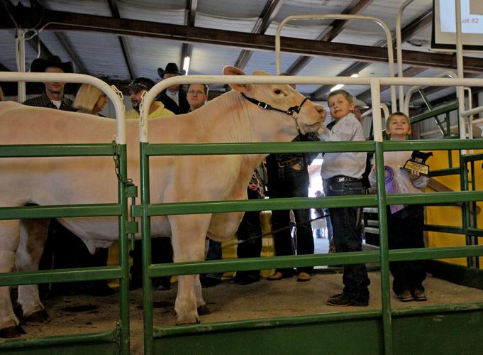 Area students hone skills at Guadalupe County youth show News