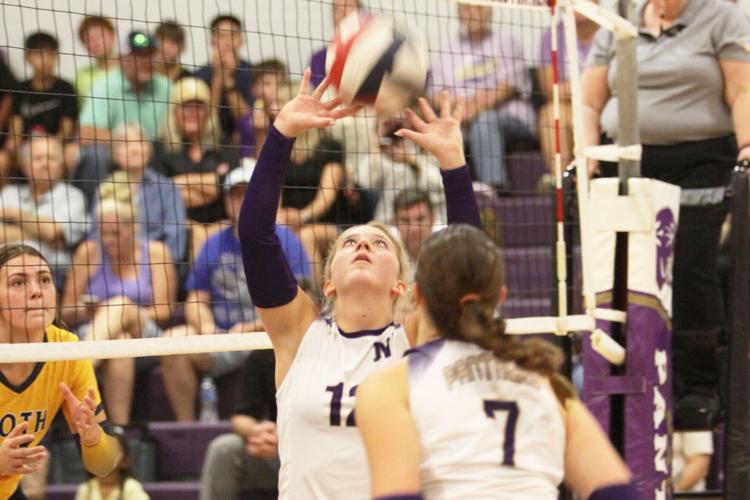 Lady Panthers capture flawless victory over Poth Pirates | Sports |  seguingazette.com