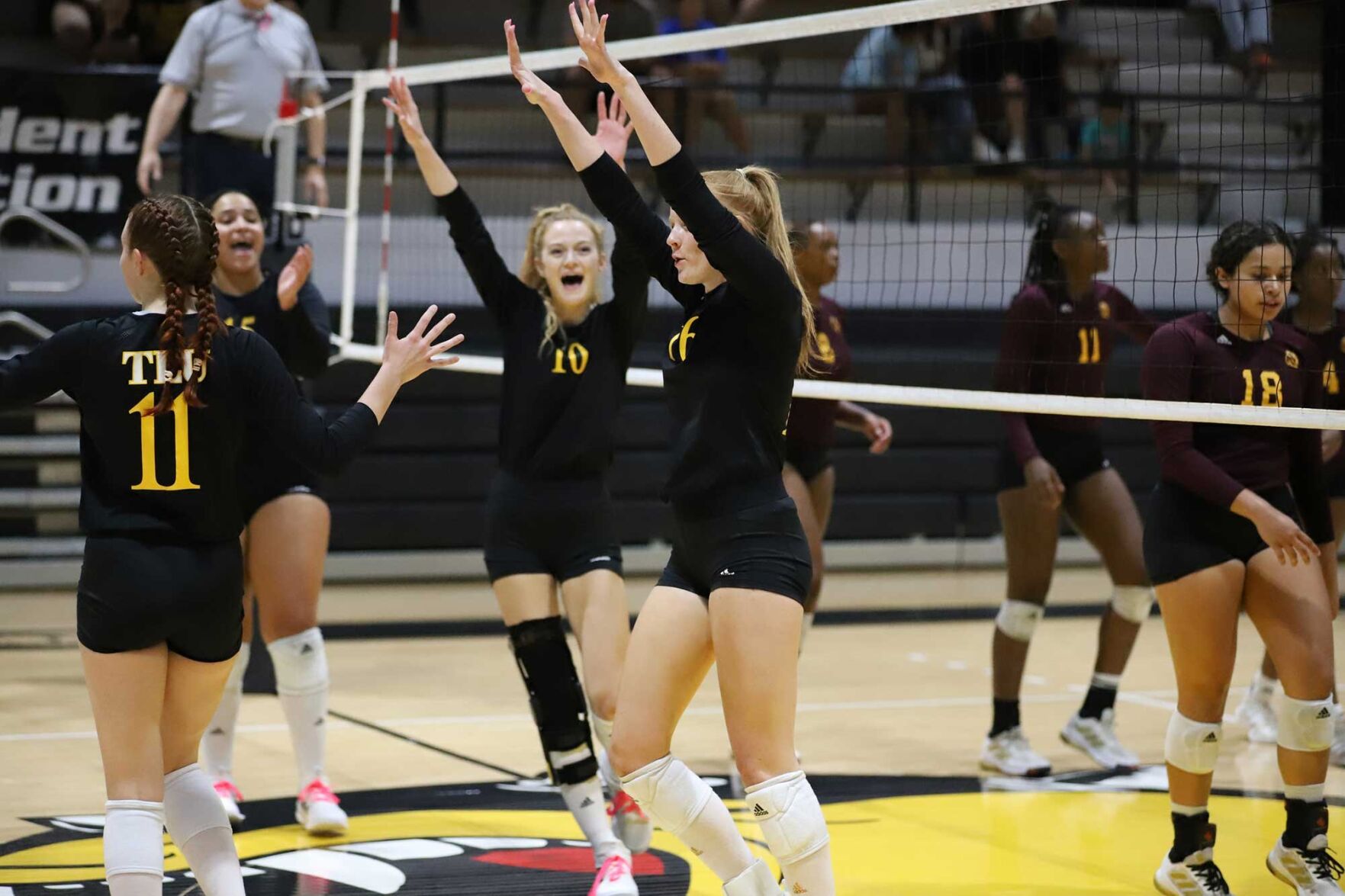 Texas Lutheran Bulldog Volleyball Sweeps Centenary | Sports ...