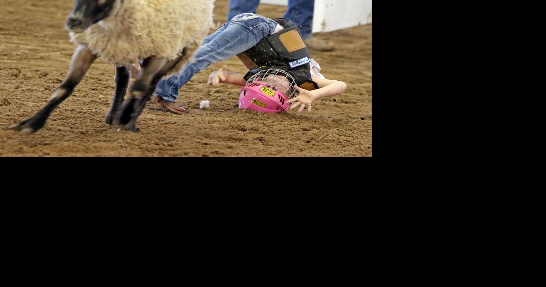 MUTTON TO SEE HERE | Photo Galleries | seguingazette.com