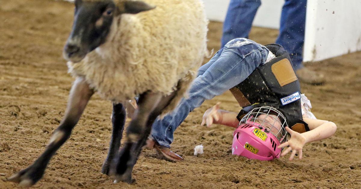 MUTTON TO SEE HERE | Photo Galleries | seguingazette.com