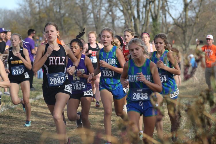 Local runners put in great effort in cross country state meet | Sports ...